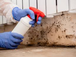 Best Crawl Space Mold Remediation  in Lake Of The Woods, IL